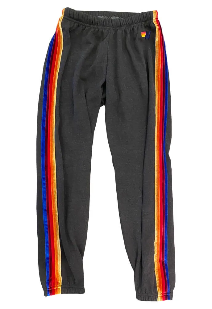 Aviator Nation Classic Sweatpants with Velvet Stripes in Blue