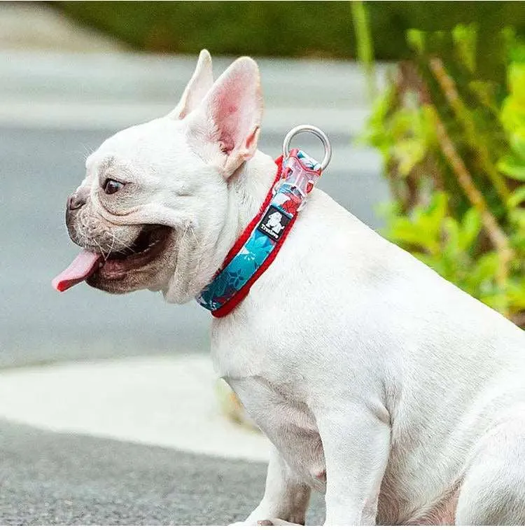 Charming Floral Dog Collar for Stylish Pets