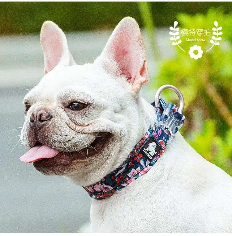 Charming Floral Dog Collar for Stylish Pets