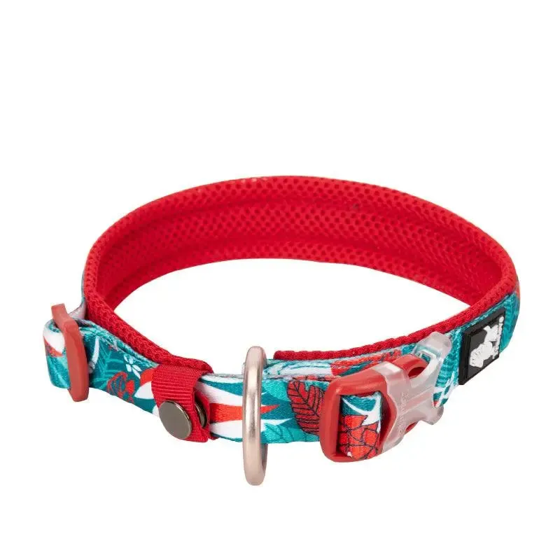 Charming Floral Dog Collar for Stylish Pets