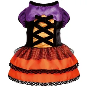 Scary-Cute Witch Hat & Dress Dog Costume