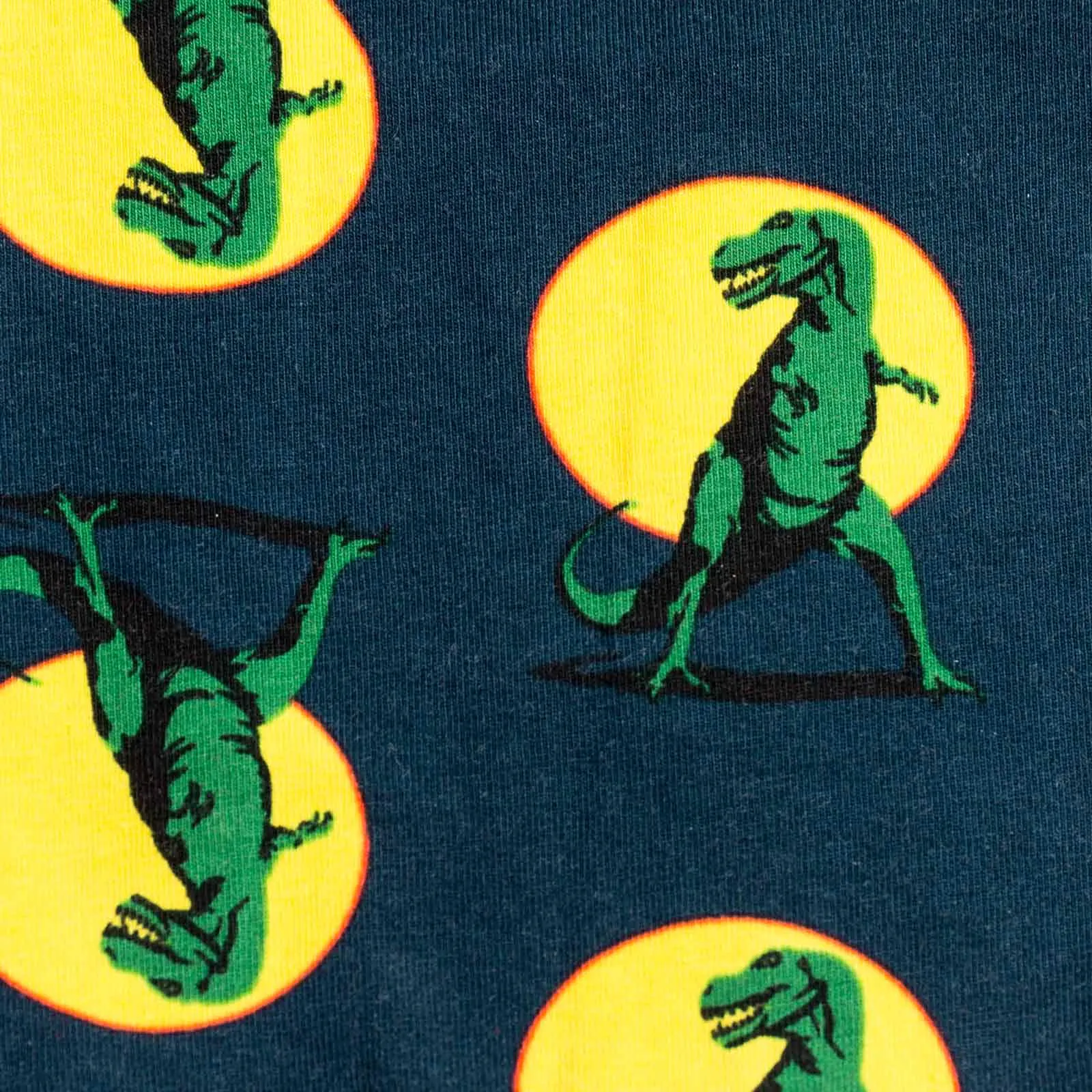 Sock it to Me T-Rex Mens Boxers